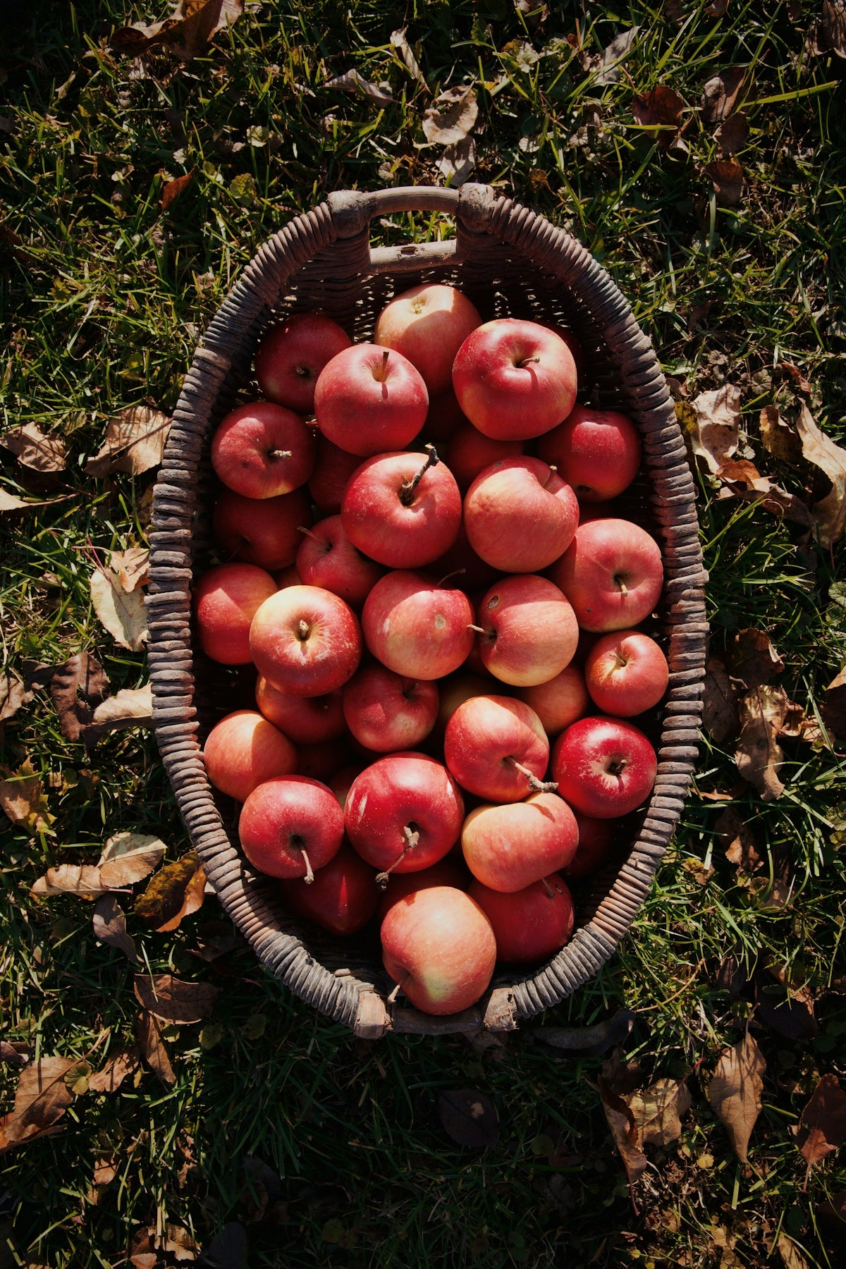 a basket filled with lots of red apples