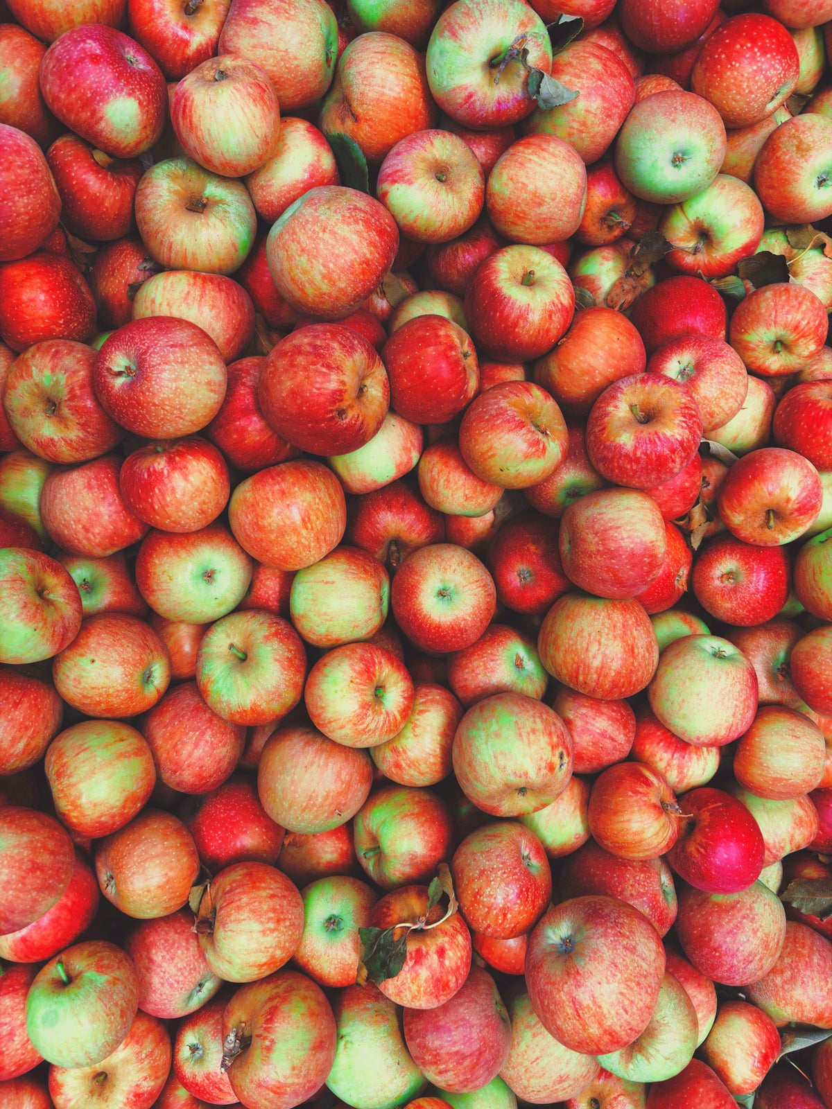 A large pile of fresh red and green apples.